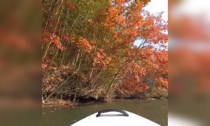 জলপথ ভ্রমণের এক ভিডিও ।