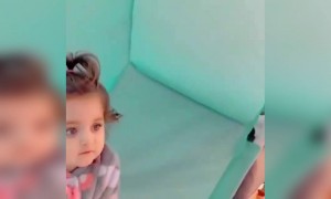 দুই মিষ্টি বেবীর ভিডিও ।