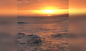 সমুদ্র সৈকত