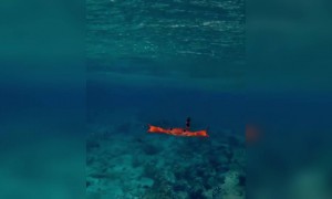 সমুদ্রতলের অসাধারণ সুন্দর দৃশ্য ।