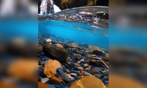 এক স্বচ্ছ নদীর ভিডিও