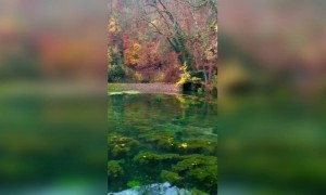 এক অপূর্ব মনোরম দৃশ্য ।