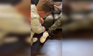 ভিডিওটি শেষ পর্যন্ত দেখুন ,অবশ্যই ভালোলাগবে ।