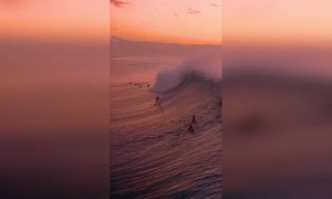 সমুদ্র সৈকত