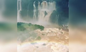 নদীর ভিডিও দেখুন