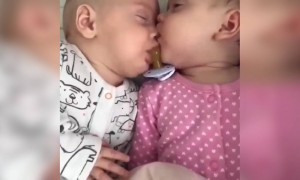 দুই খুদের কান্ড দেখুন ।