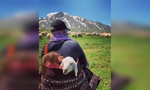 দুর্লভ দৃশ্যের ভিডিও ।