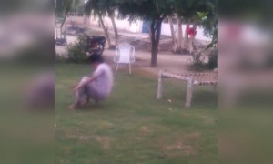 ভিডিও দেখুন আর বিন্দাস হাসুন ।