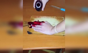 হাসির ভিডিও ।