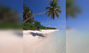 সমুদ্র তীরে সময় কাটাতে কার না ভালো লাগে ।