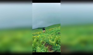 প্রাকৃতিক সৌন্দর্য্যে ভরা একটি জায়গা ।