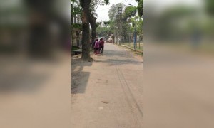 আবিরে রাঙা