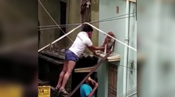 আম্ফানের পর এক আটকে থাকা কুকুরকে বাঁচালেন দুই যুবক