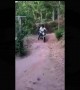 বাইকের ওপর ডিগবাজি খেতে গিয়ে কি হলো দেখুন