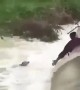 কুকুরটিকে জলে ডুবে যাওয়ার থেকে বাঁচালেন কিছু মানুষ