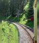 সুইজারল্যান্ডে ট্রেন চড়ার এক আলাদাই অনুভূতি