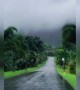 বৃষ্টির দিনে হাওয়াই কি সুন্দর লাগে